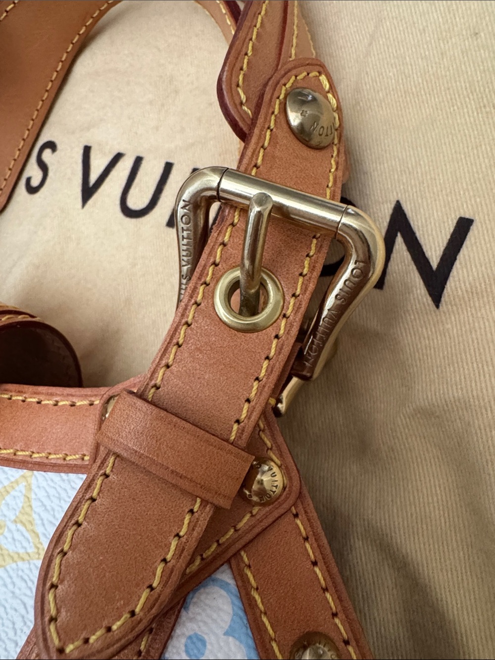 Takashi Murakami X Louis Vuitton White Monogram Multicolore Canvas Theda PM - Picture 10 of 16